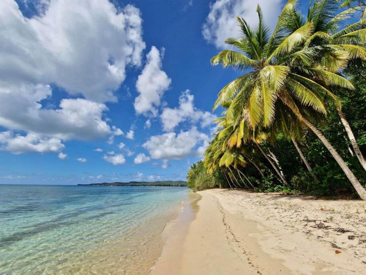Manbana 333 Hotel Folle Anse ภายนอก รูปภาพ